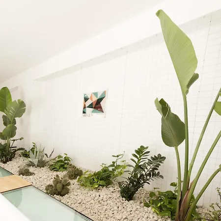 Visitsicilia Vasile 9 Castellammare del Golfo